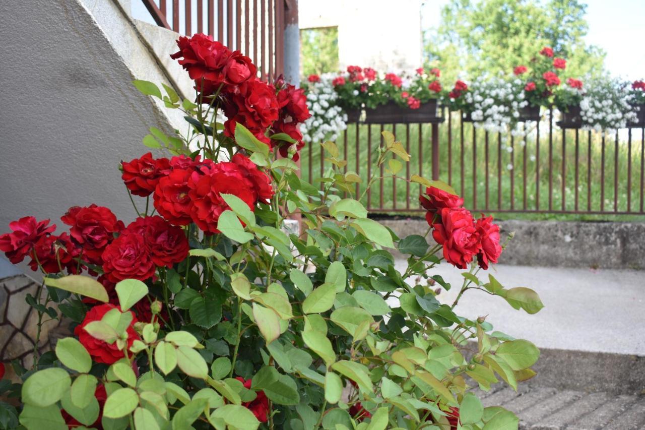 Apartman Rukavina Licko Petrovo Selo Luaran gambar